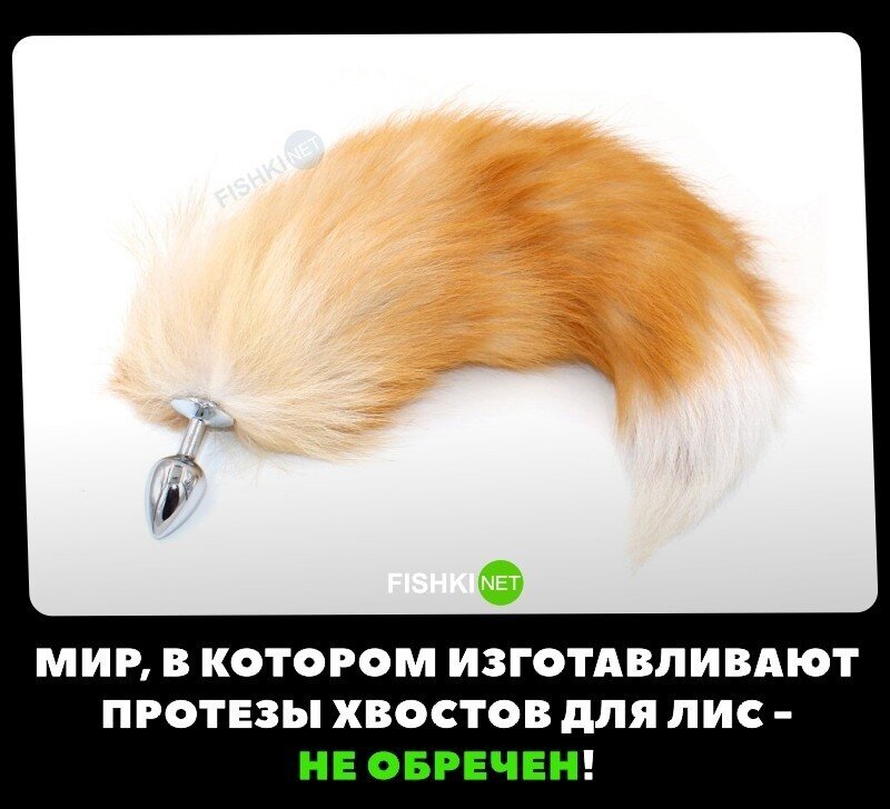 Этот мир не обречён