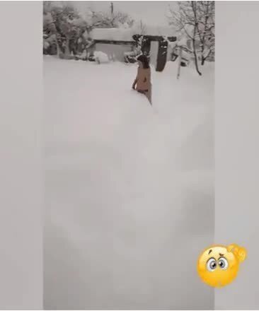 Утреннее