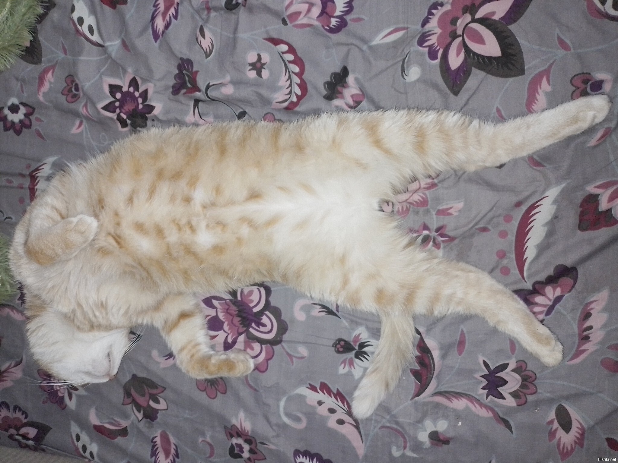 Что мне делать