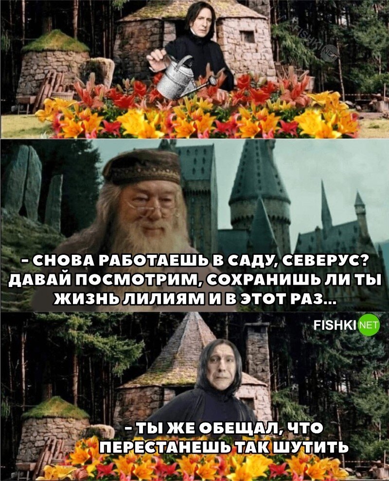 Лили Поттер