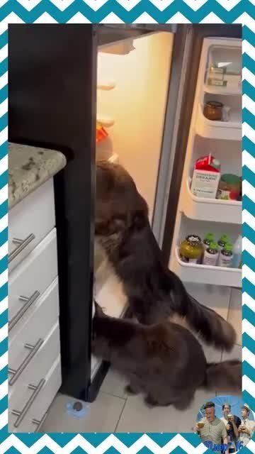 - Припёрлась