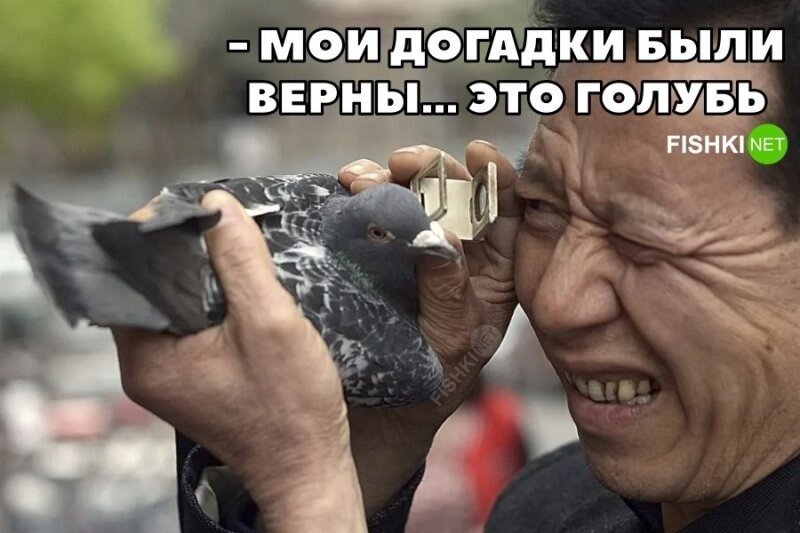 Фотоприколы и&nbsp;прикольные картинки