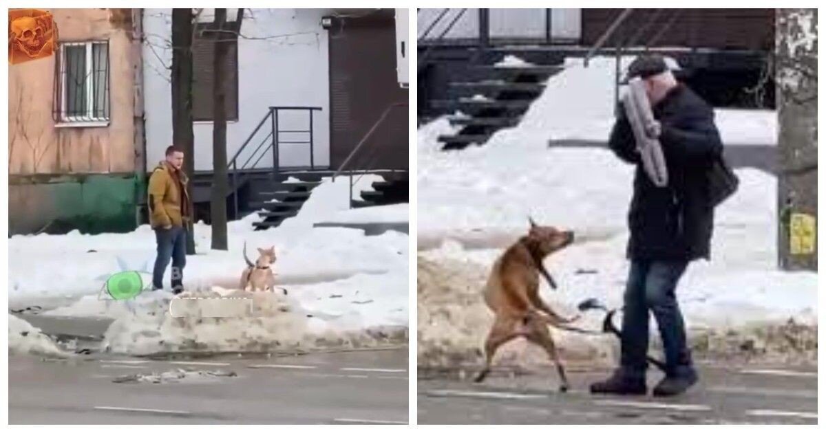 Пьяный мужчина специально натравливает свою собаку на прохожих