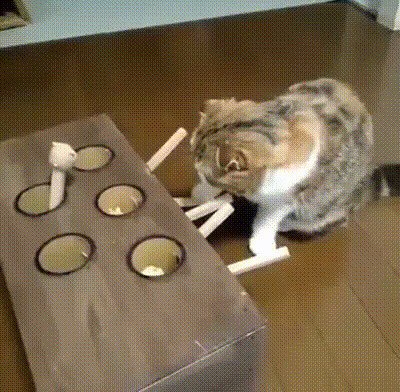Как упороть кота
