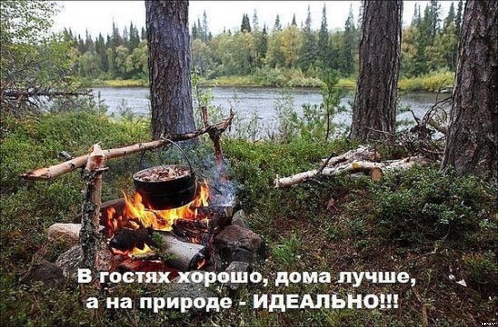 Солянка