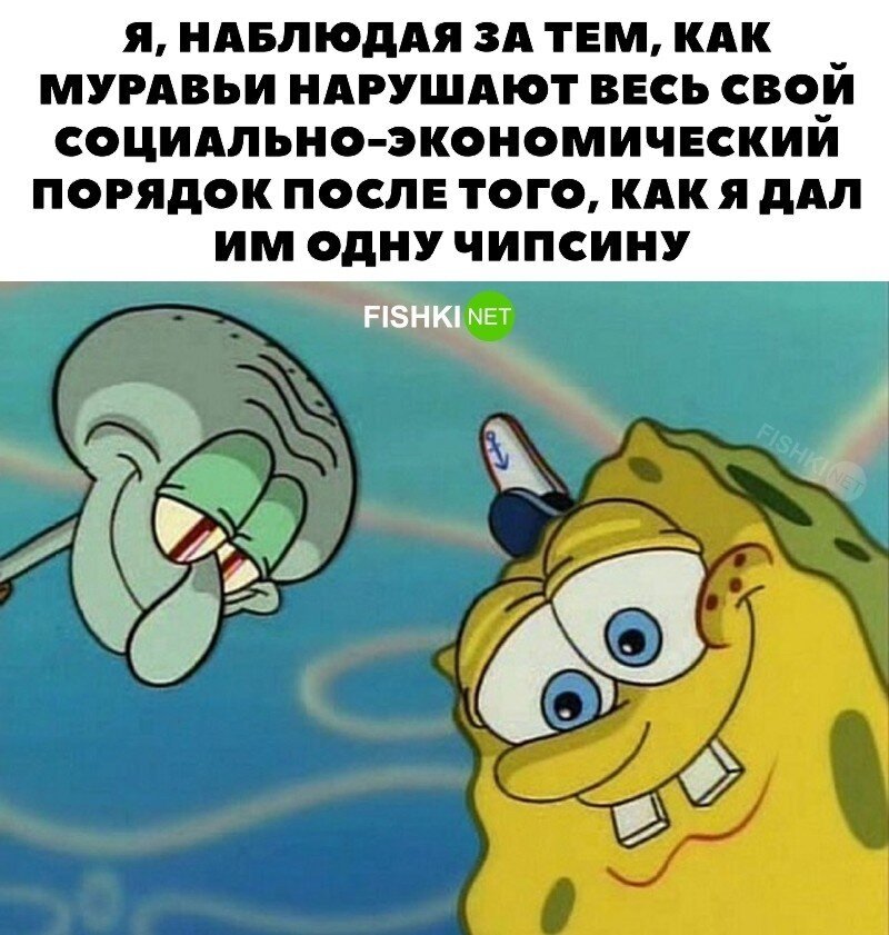 Всего одна чипсина