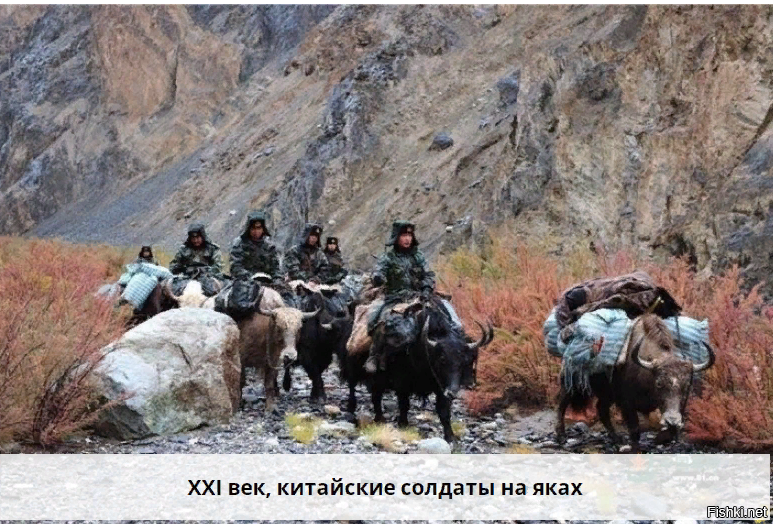 И ни разу не стыдно