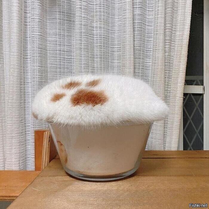 Коттучино с утра