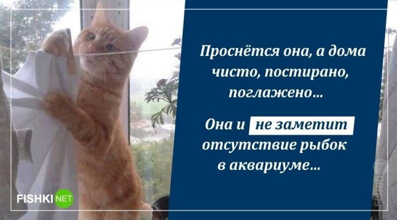 Не ищите здесь смысл. Здесь в основном маразм