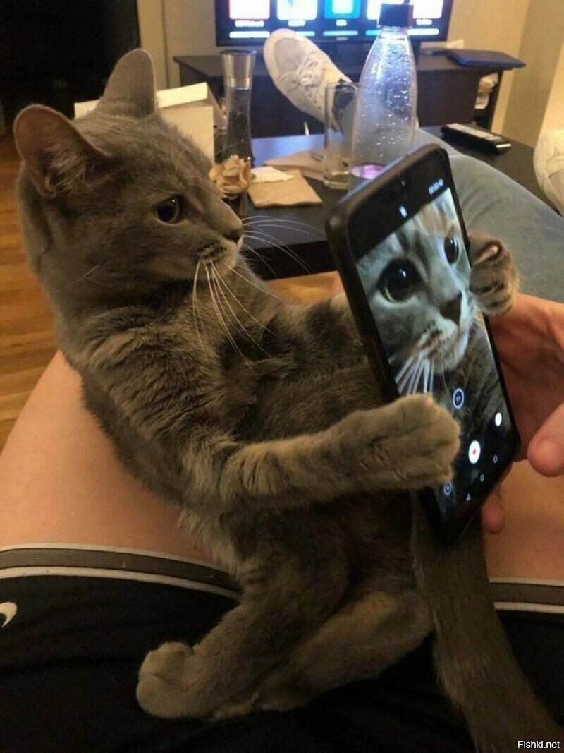 - Руки убери, я сам =)