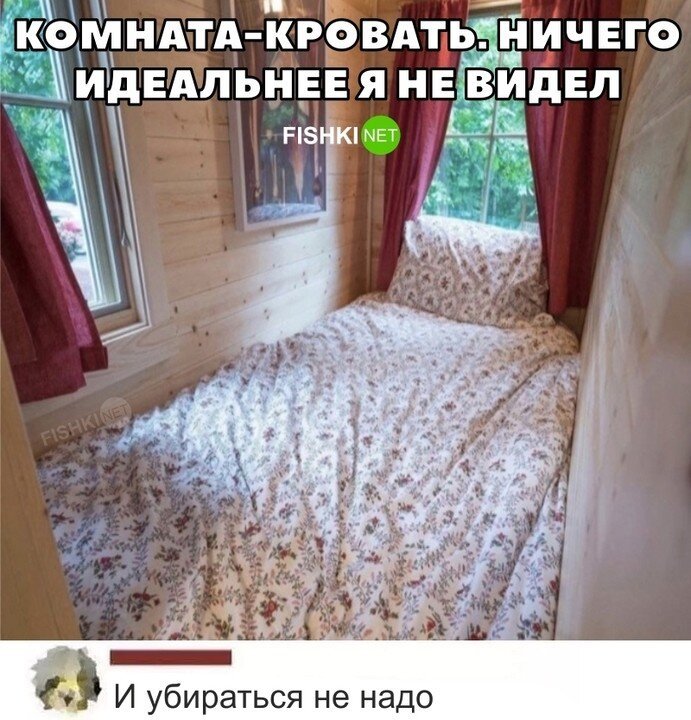 Картинка дня 20-03-2023