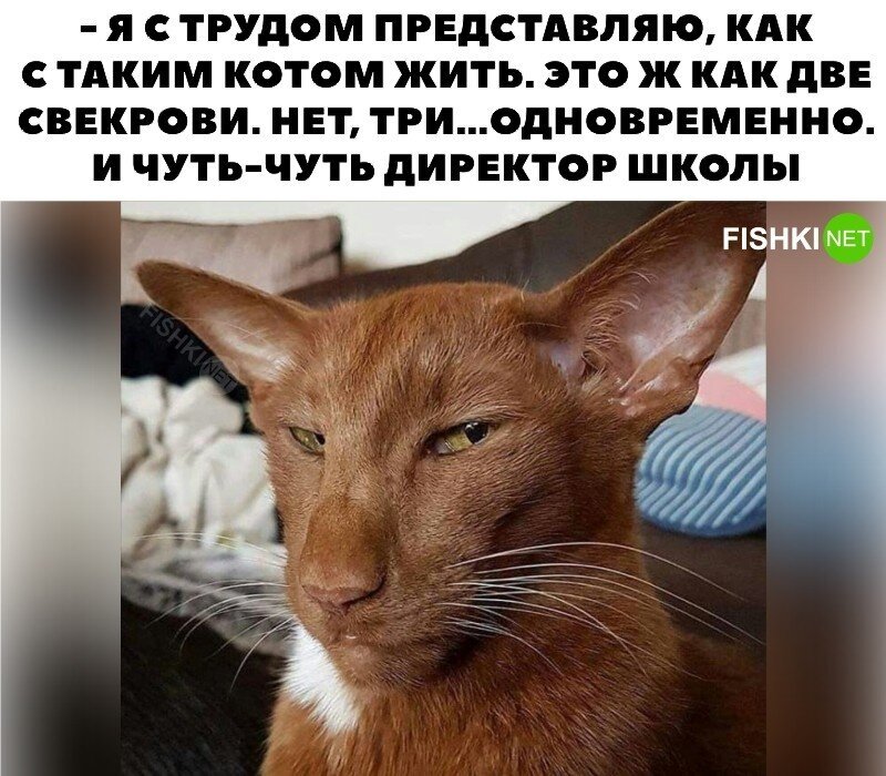 На общую тему&nbsp;