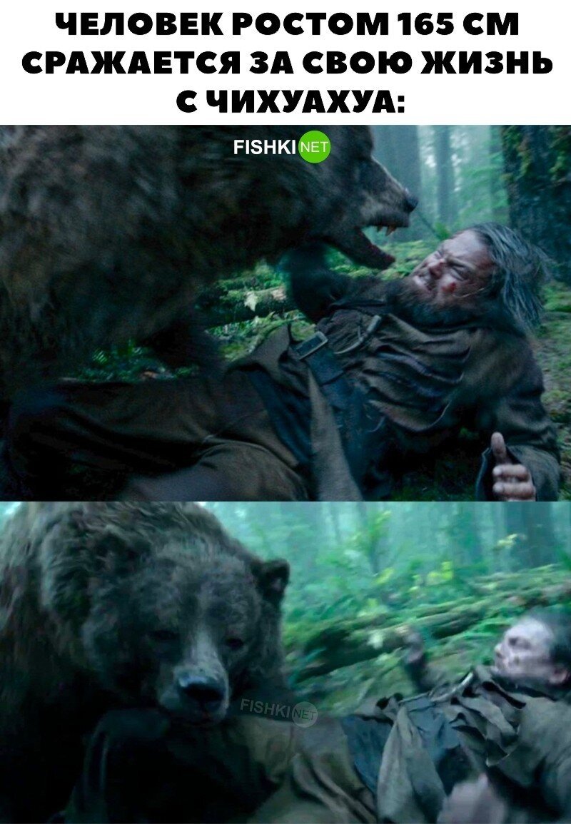 Бильбо Бэггинс 