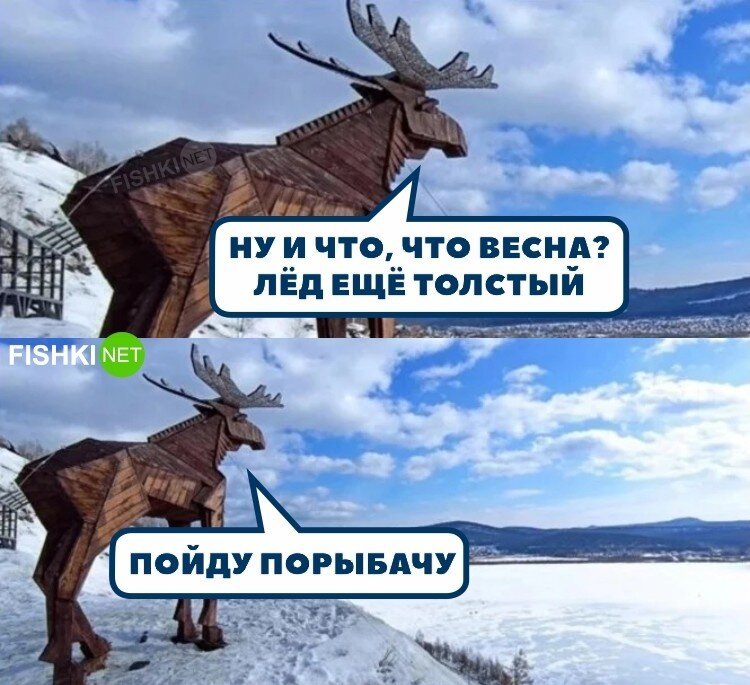 Фотоприколы и&nbsp;прикольные картинки