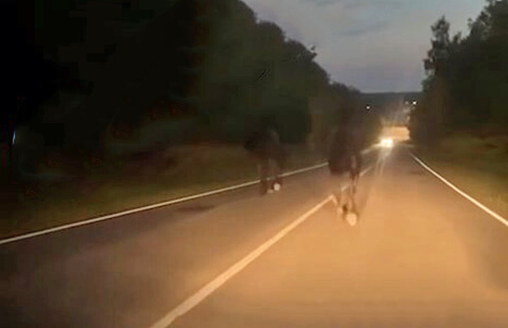 Лошади на дороге спровоцировали смертельное ДТП