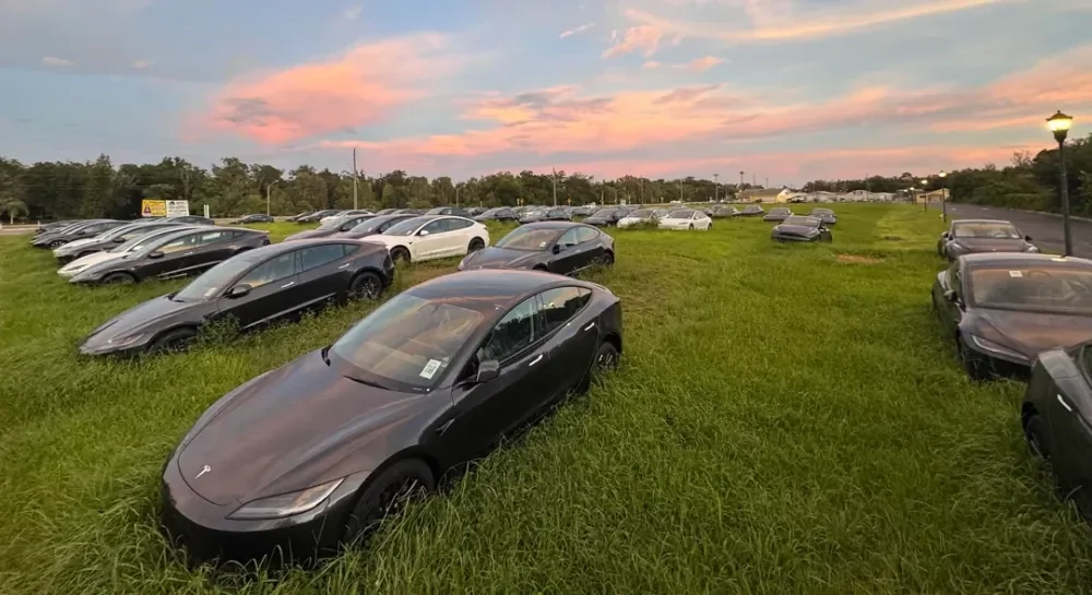 Новые электромобили Tesla обнаружили на заросшем поле