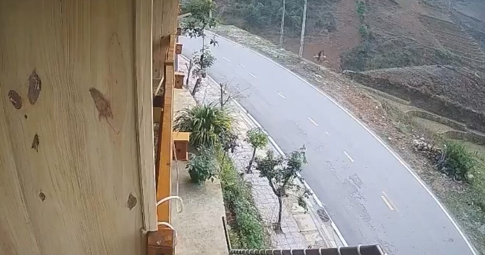 Полёт ценою в жизнь