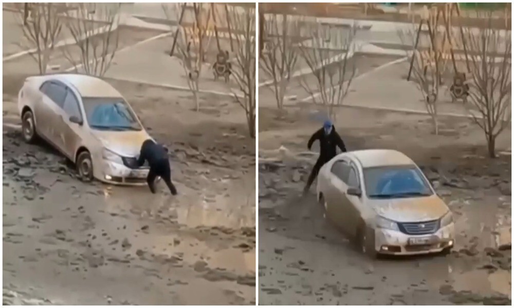 Не простая это работа из болота тащить бегемота