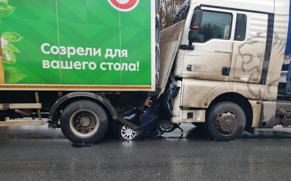 В лепёшку