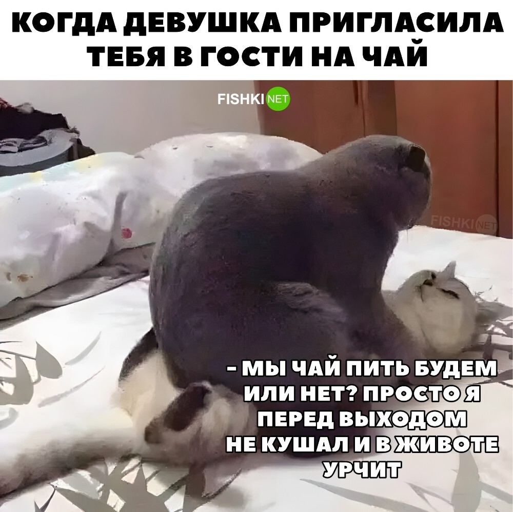 Когда девушка позвала на чай