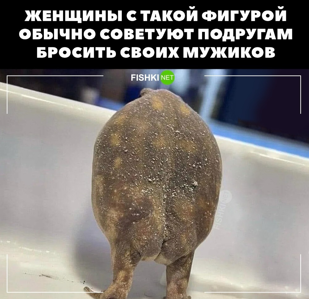 Классика 