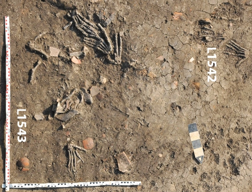 В древнем египетском дворце нашли ямы с отрубленными руками