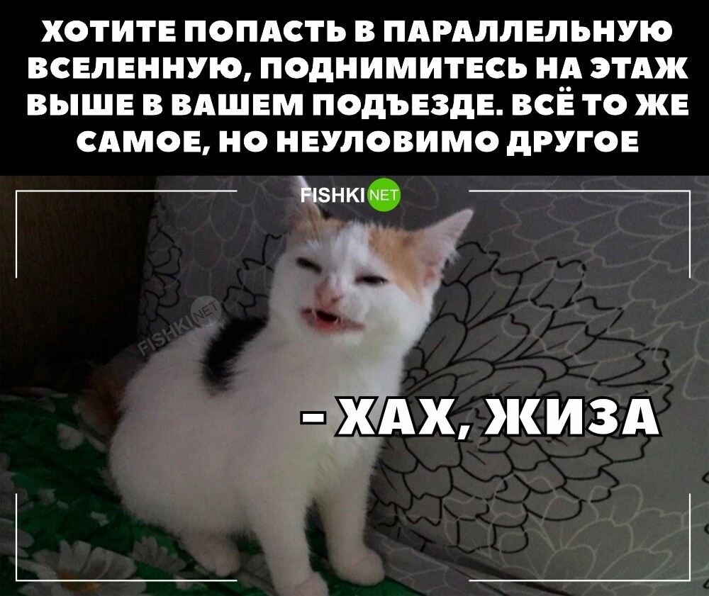 Жизненно 