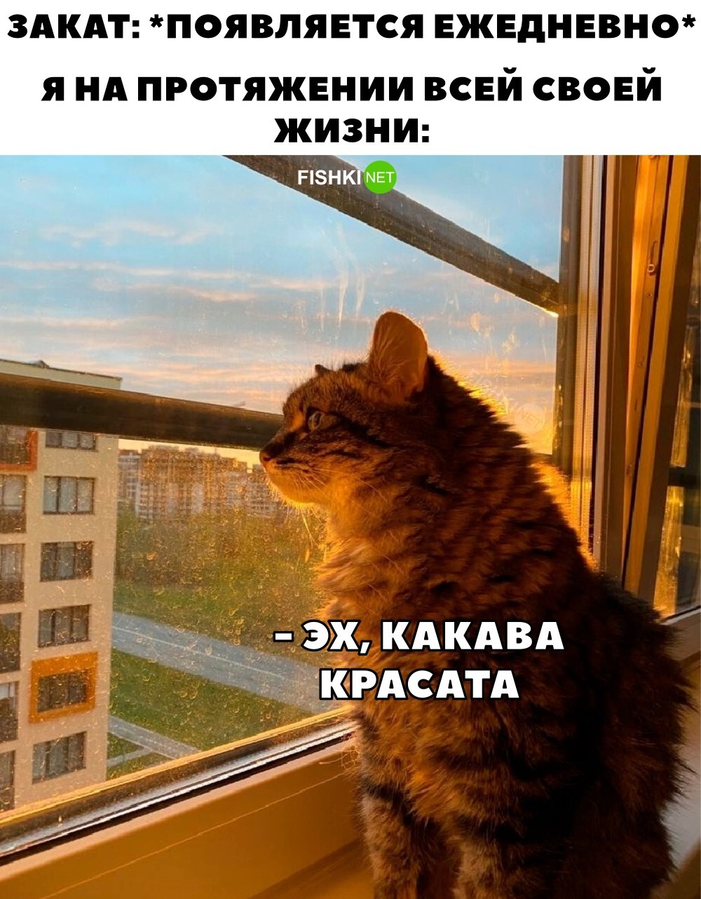 Классика 