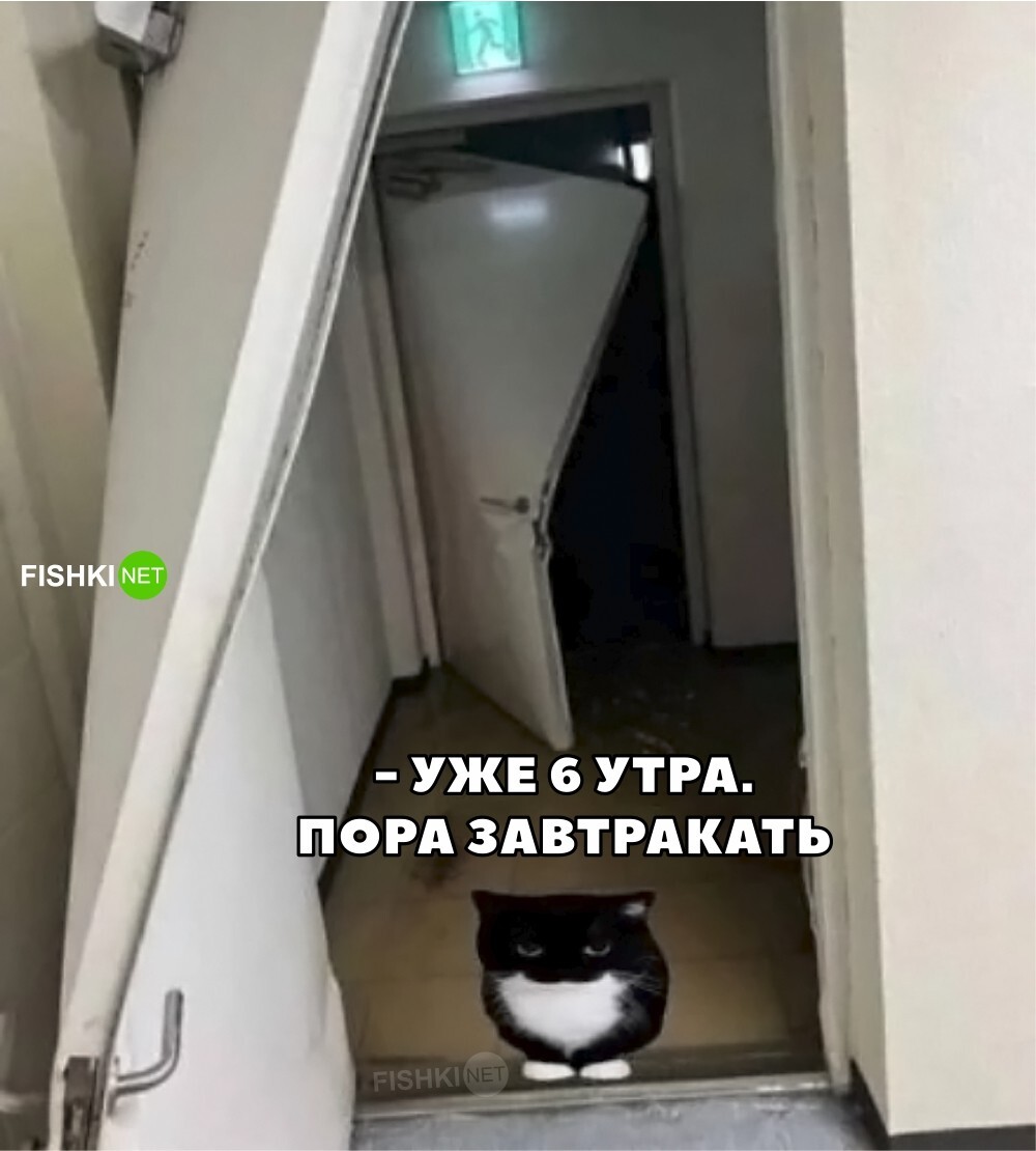 Пора кушать