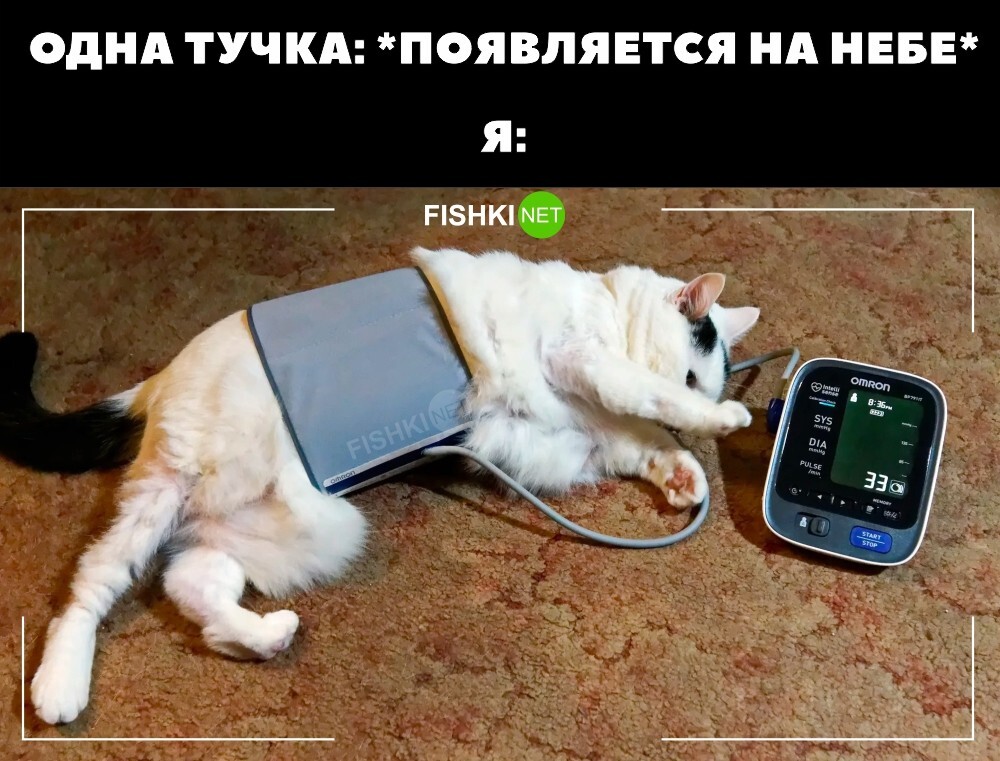 Метеозависимые на месте? 