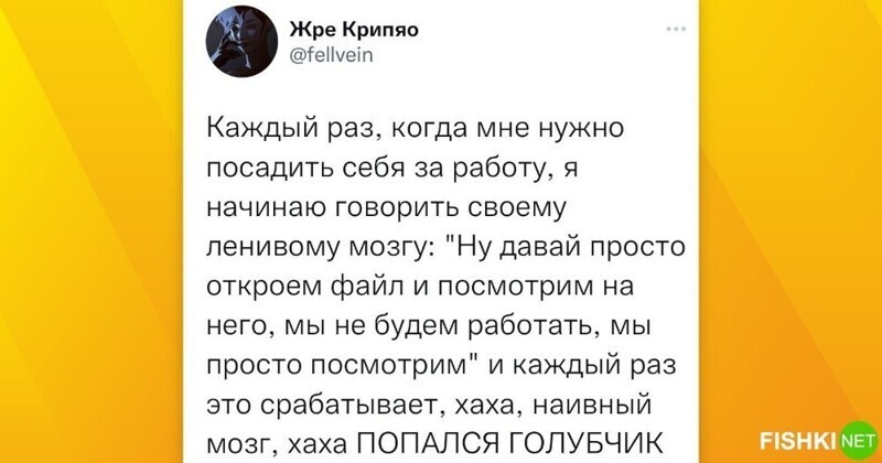 Дельные советы от истинных хитрецов