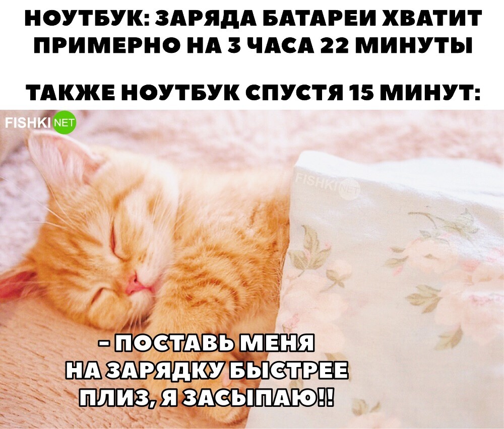 Скрины из соцсетей&nbsp;