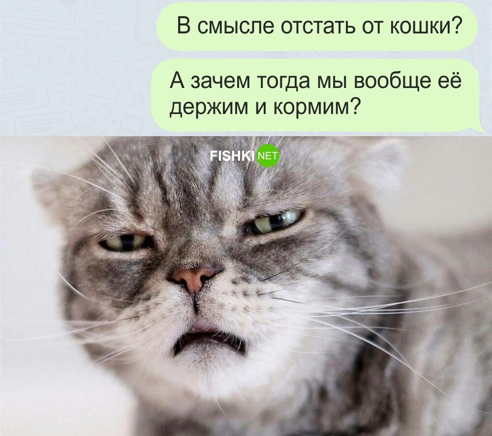 В смысле отстать от кошки?