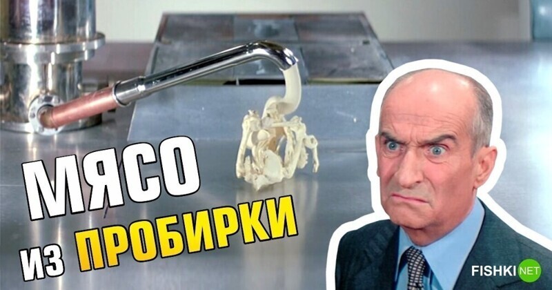 Крылышко или ножка? Как на самом деле обстоят дела на рынке пробирочного мяса