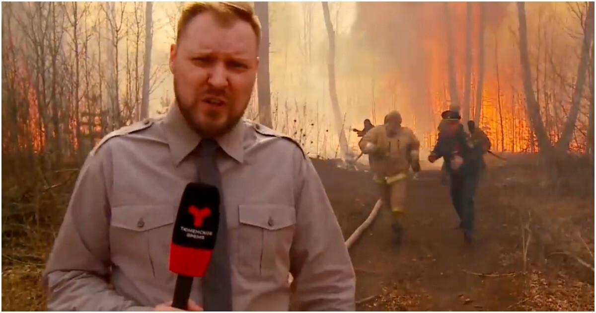 Журналист чуть не пострадал от лесного пожара во время съёмки сюжета