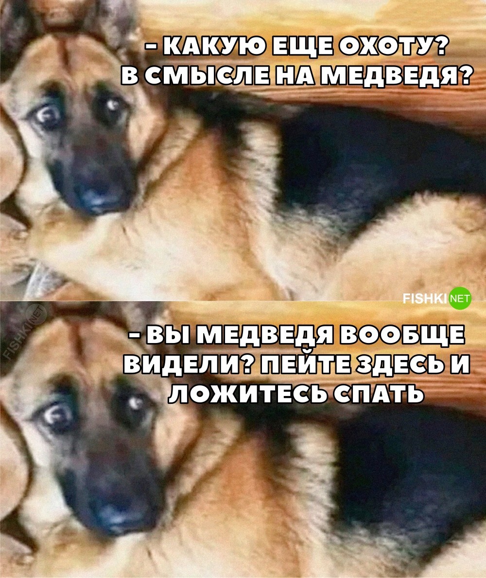 На какую ещё охоту?