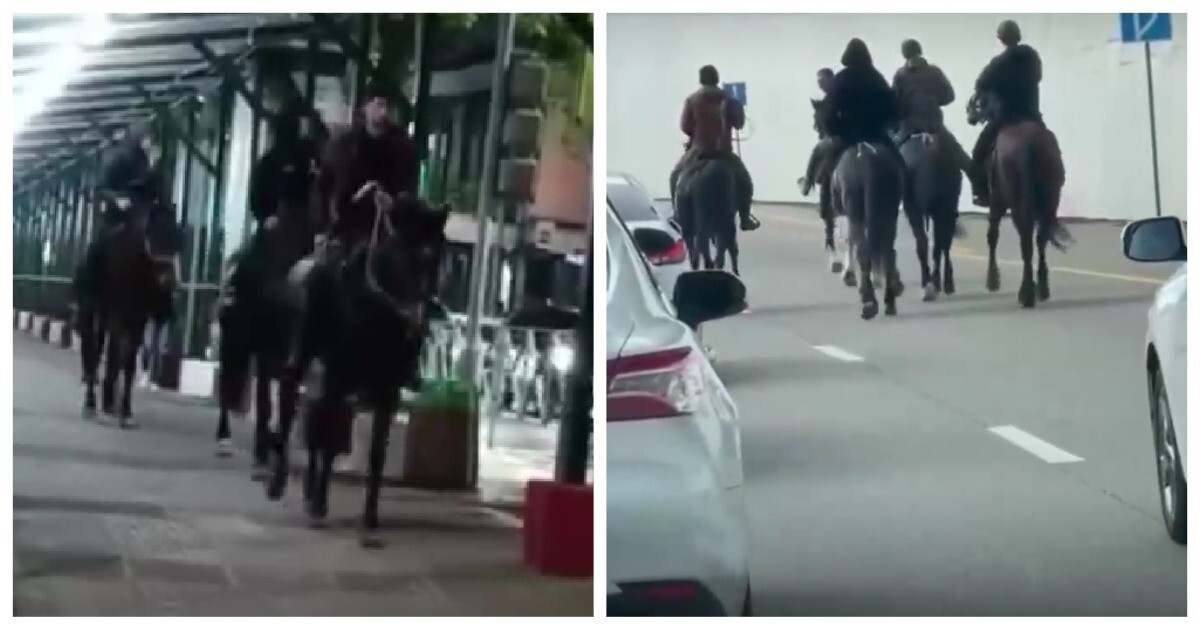 Всадники без головы: в Сочи полицейские разыскивают мужчин, которые устроили скачки на лошадях по улицам