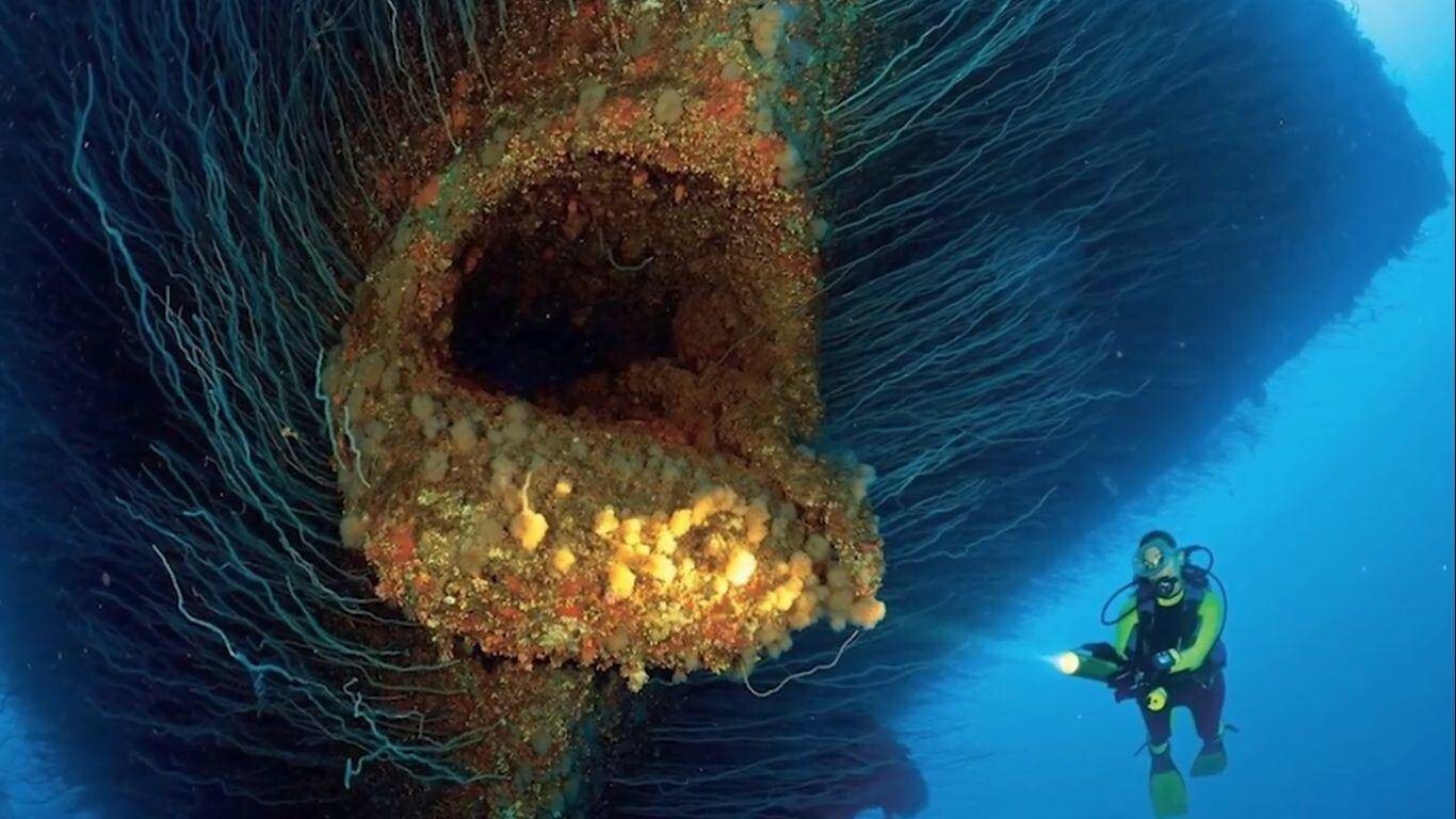 5 интересных «загадок» Мирового океана