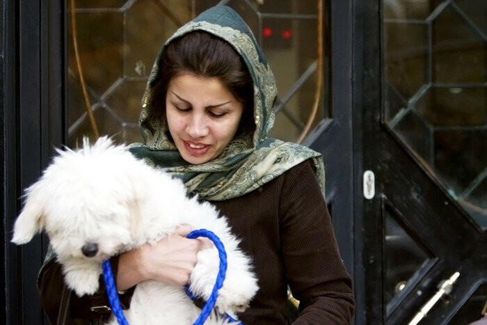 Очередная дичь или почему в Иране запрещают домашних собак