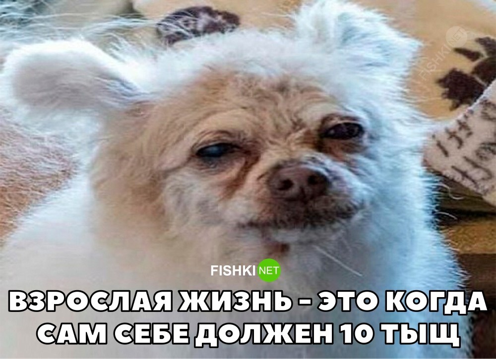 Скрины из соцсетей&nbsp;