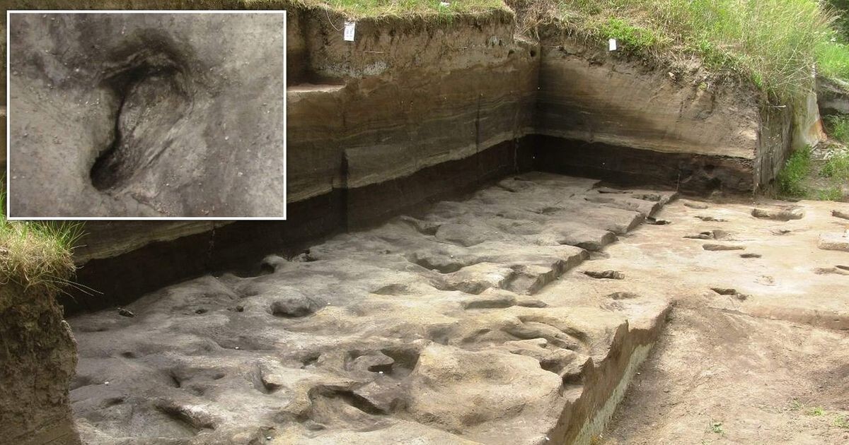 В Германии нашли самые древние следы человека: им около 300&nbsp;000 лет
