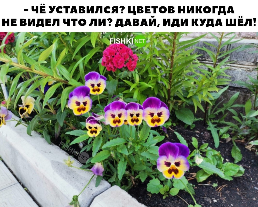 Скрины из соцсетей&nbsp;