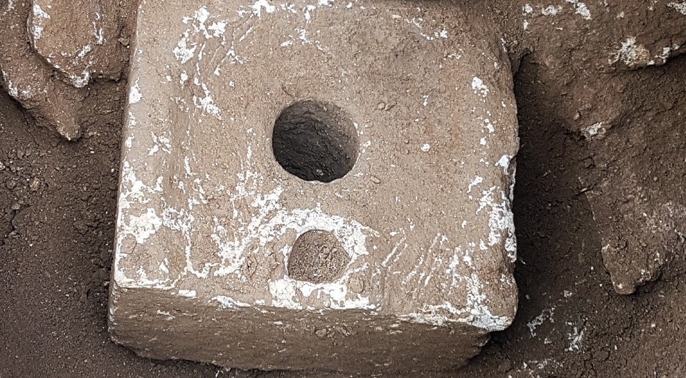 В&nbsp;иерусалимских туалетах нашли древнейшие случаи заражения кишечными лямблиями