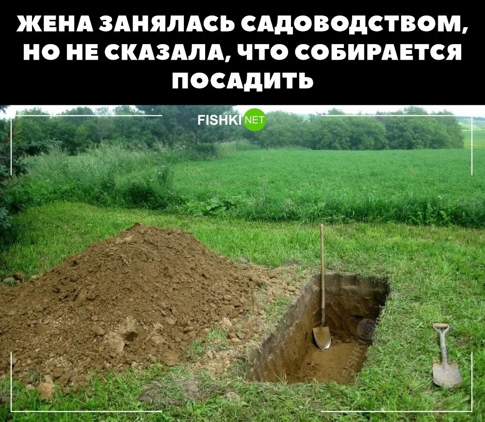 Жена занялась садоводством