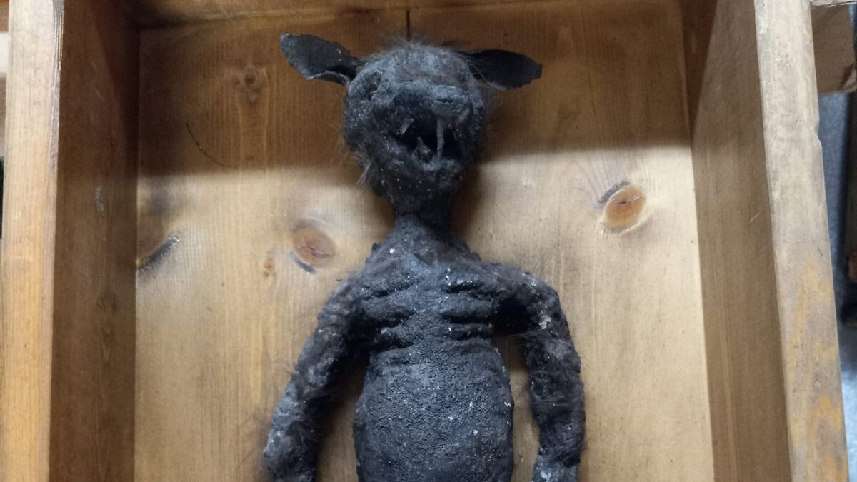 Сотрудники музея получили посылку со странной "мумией"