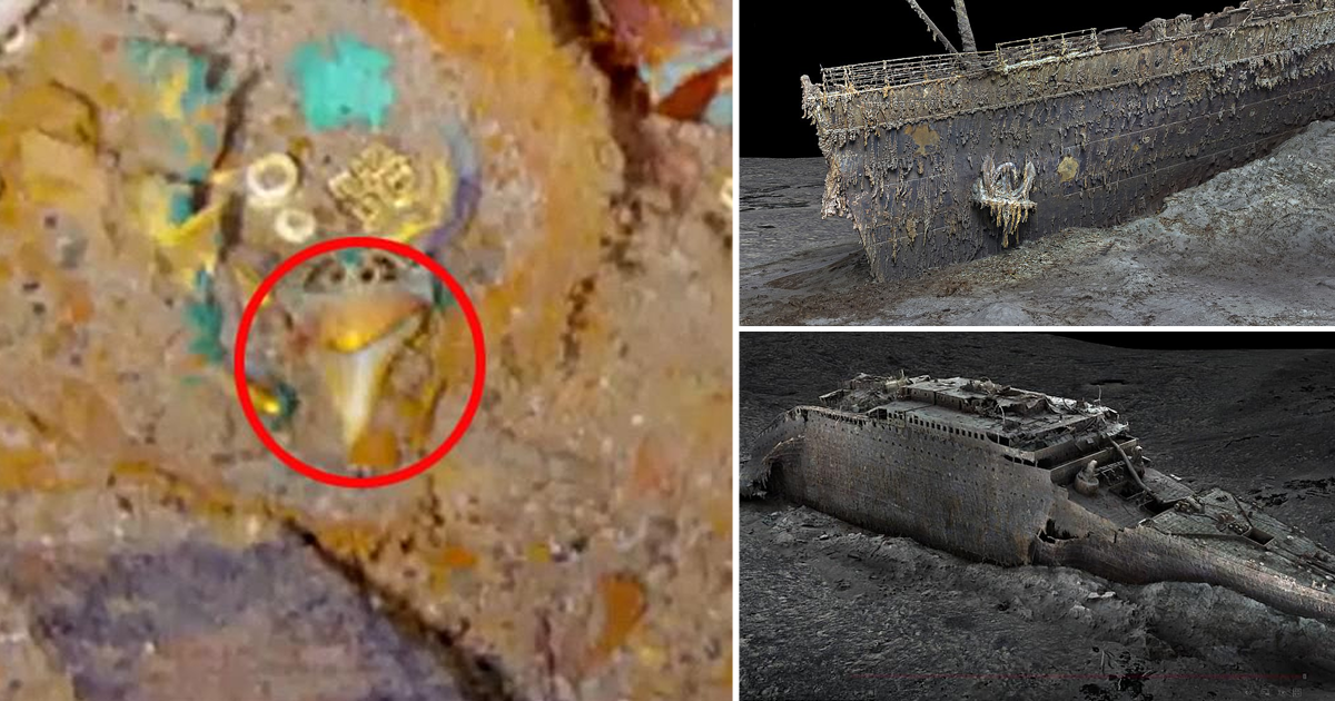 Среди обломков «Титаника» нашли золотое ожерелье с зубом мегалодона