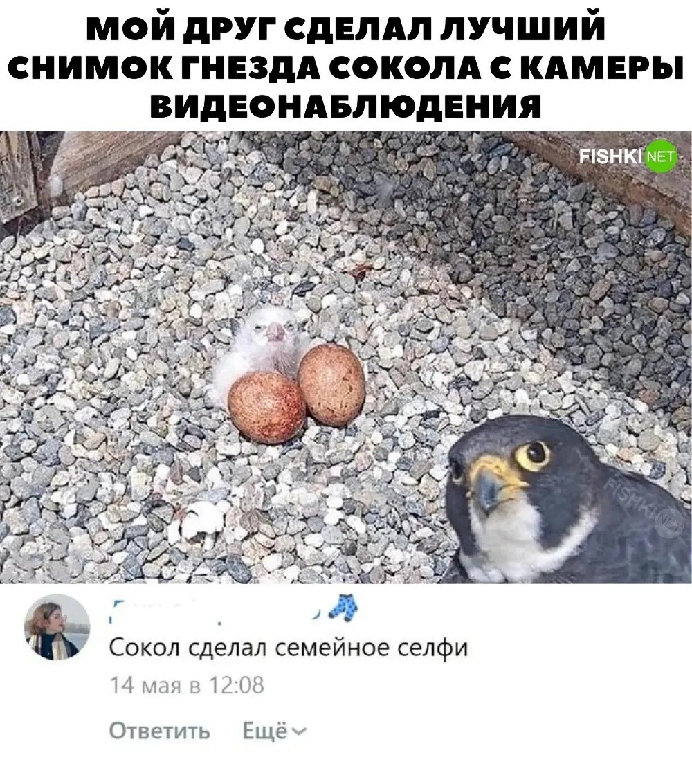 Семейное селфи