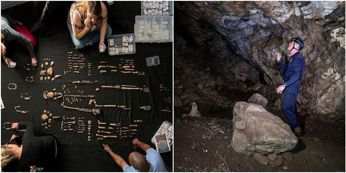 Учёные нашли захоронение вымерших людей Homo naledi
