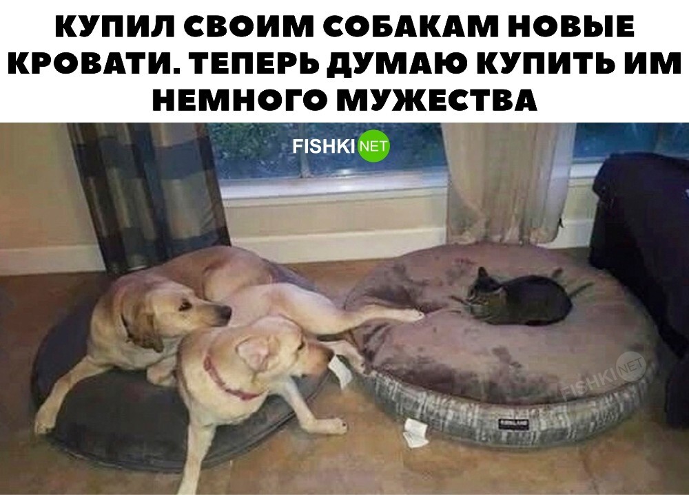 Скрины из соцсетей&nbsp;