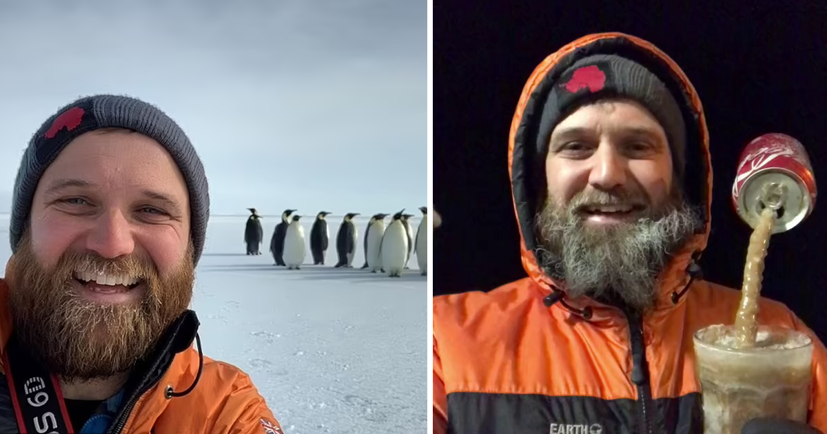 -57°C и полгода без солнца: тиктокер показывает, каково жить в Антарктиде
